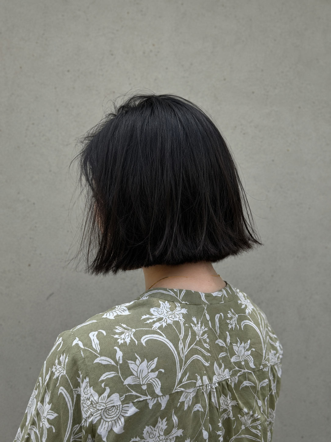 Layered Bob — before